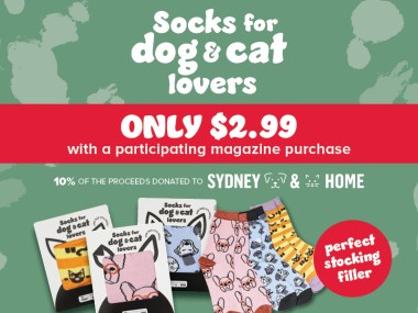 Dog and Cat Socks Only $2.99* When You Purchase Your Favourite Magazine