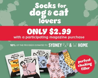 Dog and Cat Socks Only $2.99* When You Purchase Your Favourite Magazine