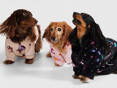 Rug up your furry friends in their very own wearable blankets this winter