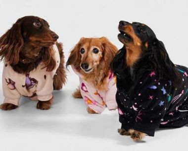 Rug up your furry friends in their very own wearable blankets this winter