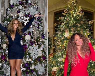 What does your Christmas tree says about you? Tinsel, baubles and ornaments are surprisingly telling about someone’s personality