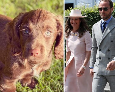 “I cannot wait to share many adventures with her”: Meet James Middleton’s super cute new Cocker Spaniel pup, Nala