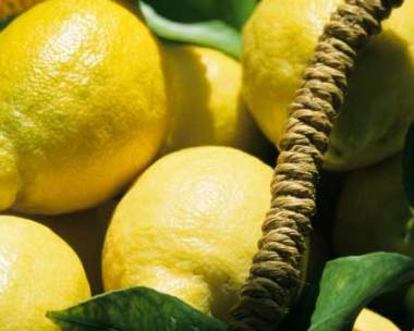 How to grow lemons