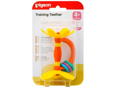 Pigeon Training Teether Step 1