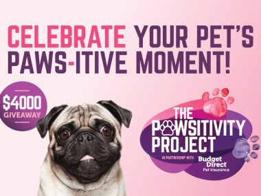 Show Us Your Paws-itivity Pet Moment And You Could Win Cash!