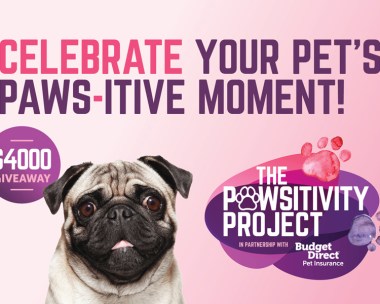 Show Us Your Paws-itivity Pet Moment And You Could Win Cash!