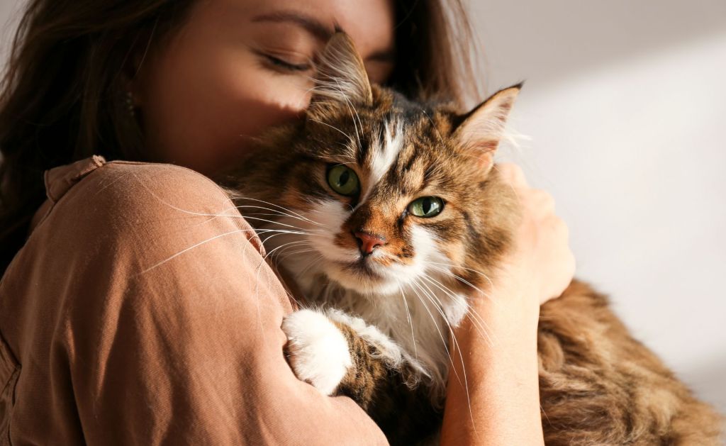 Rescue cats like this one the lady is hugging are loving companions