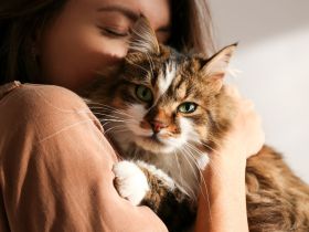 woman snuggling cute cat