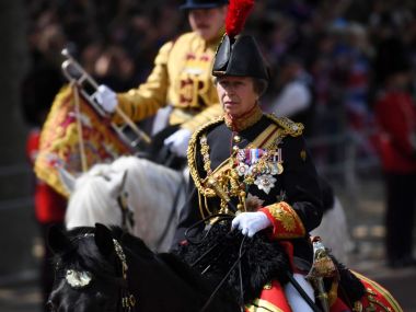 Princess Anne suffers concussion from horse-incident