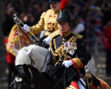 Princess Anne suffers concussion from horse-incident