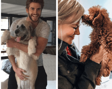 See the most adorable photos ever of celebrities and their pets