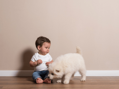 How to introduce children to a new dog