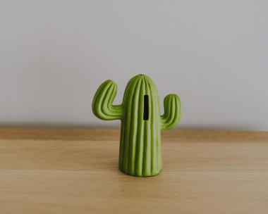 Cactus. 