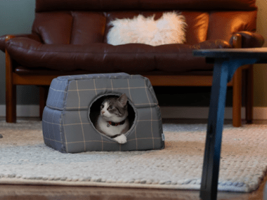 Cat inside cosy winter bed