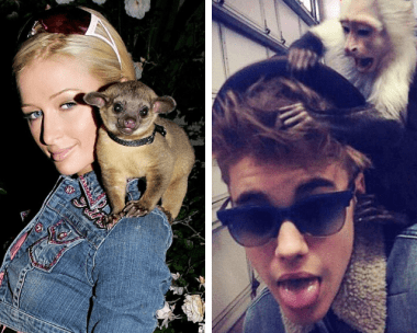 Move over Joe Exotic! Meet the celebrities with weird exotic pets